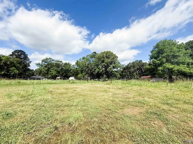 $55,000 | 29378 South Anne Drive, Walker, LA 70785