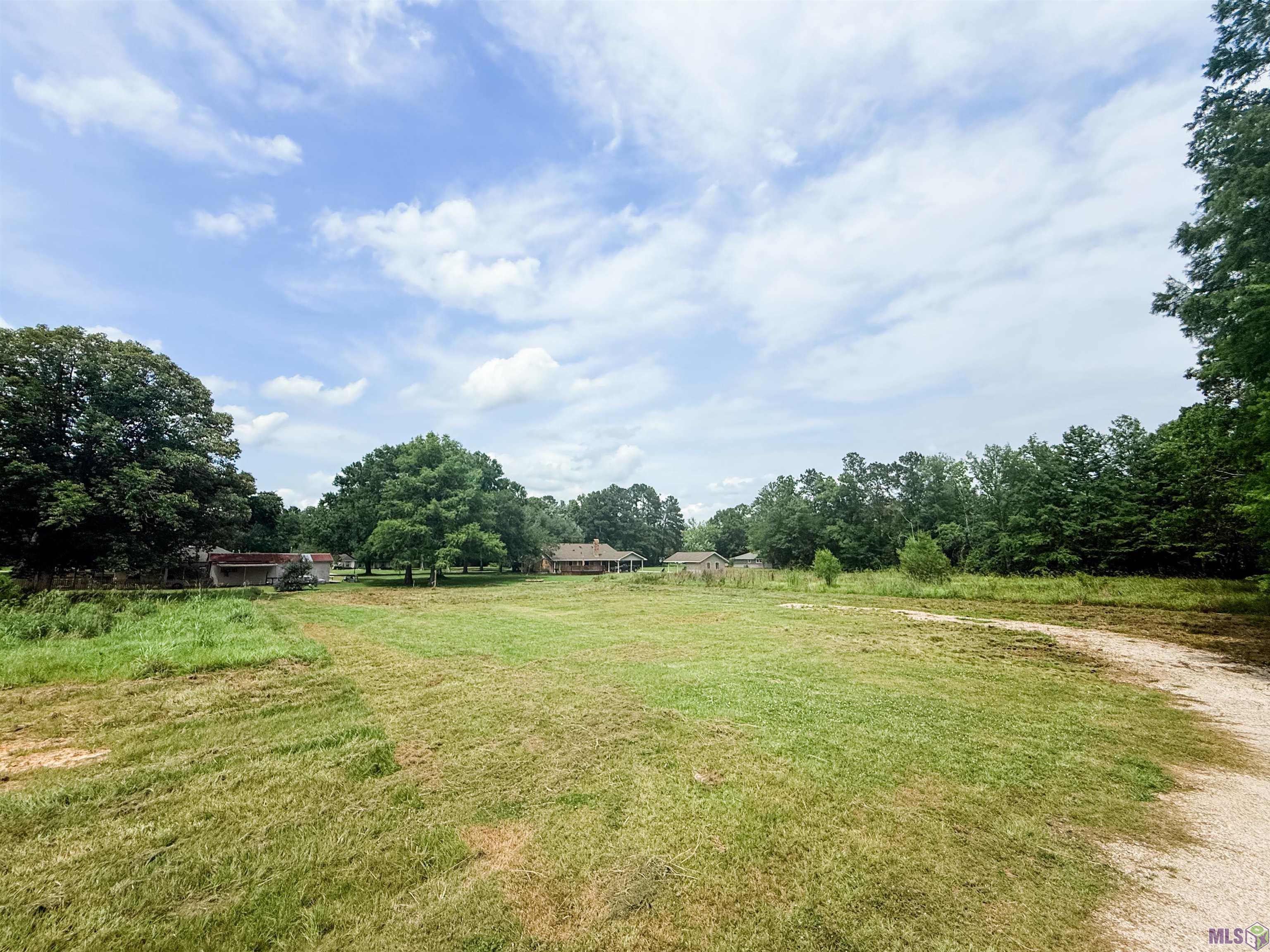 29378 South Anne Drive Walker, LA 70785 - Photo 9 of 15