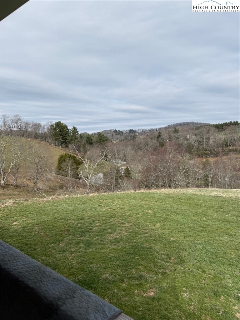 298 Jones Miller Drive Boone, NC 28607 - Photo 3 of 31