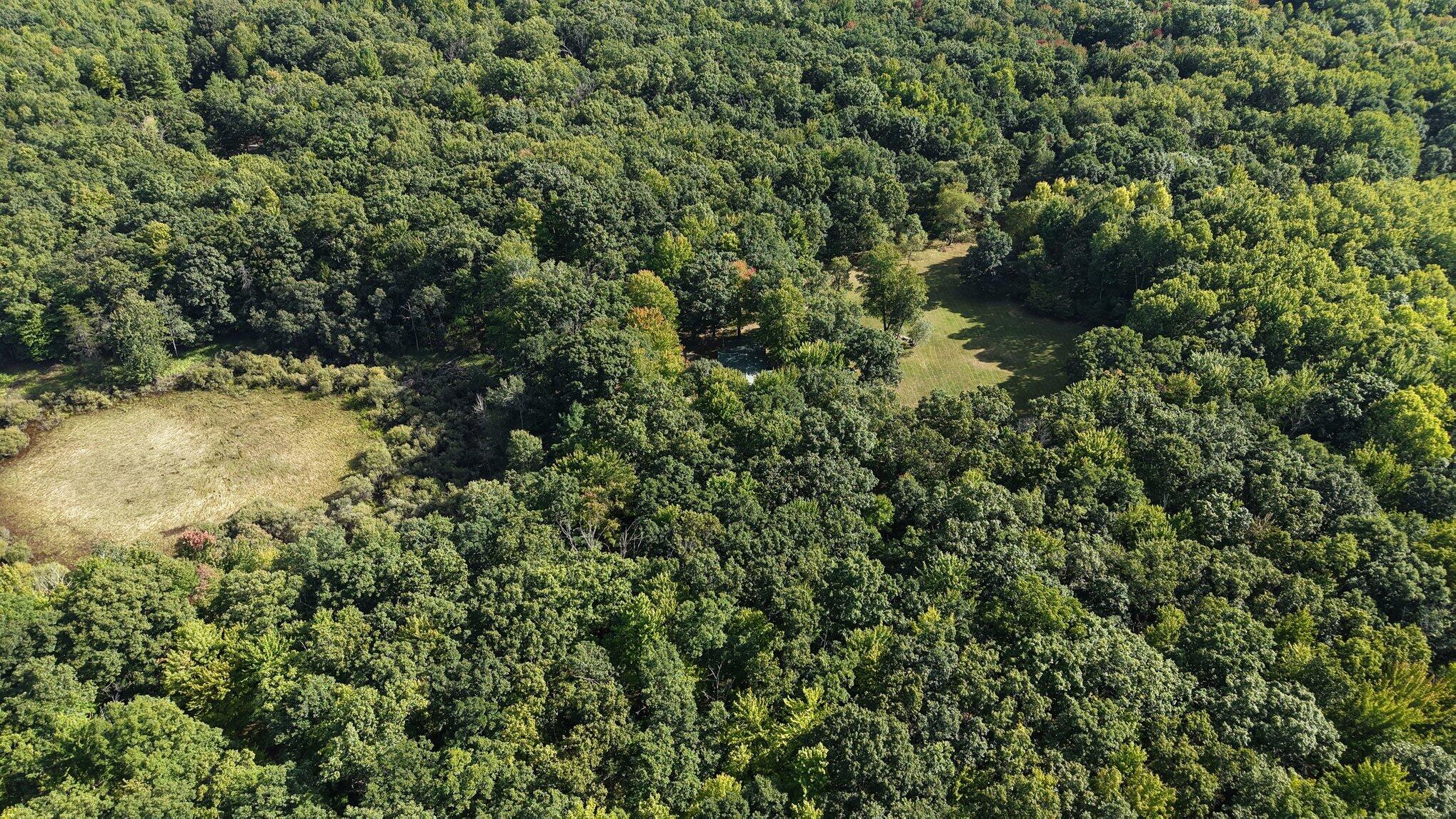 10703 North Mac Road Irons, MI 49644 - Photo 2 of 28 002_file_3035
