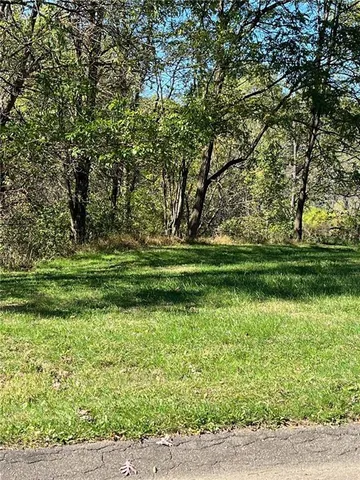 a backyard of a house with a lots of green space