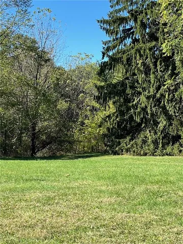 a view of a garden with a small trees