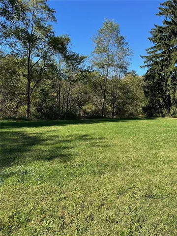 a view of a grassy field with a tree