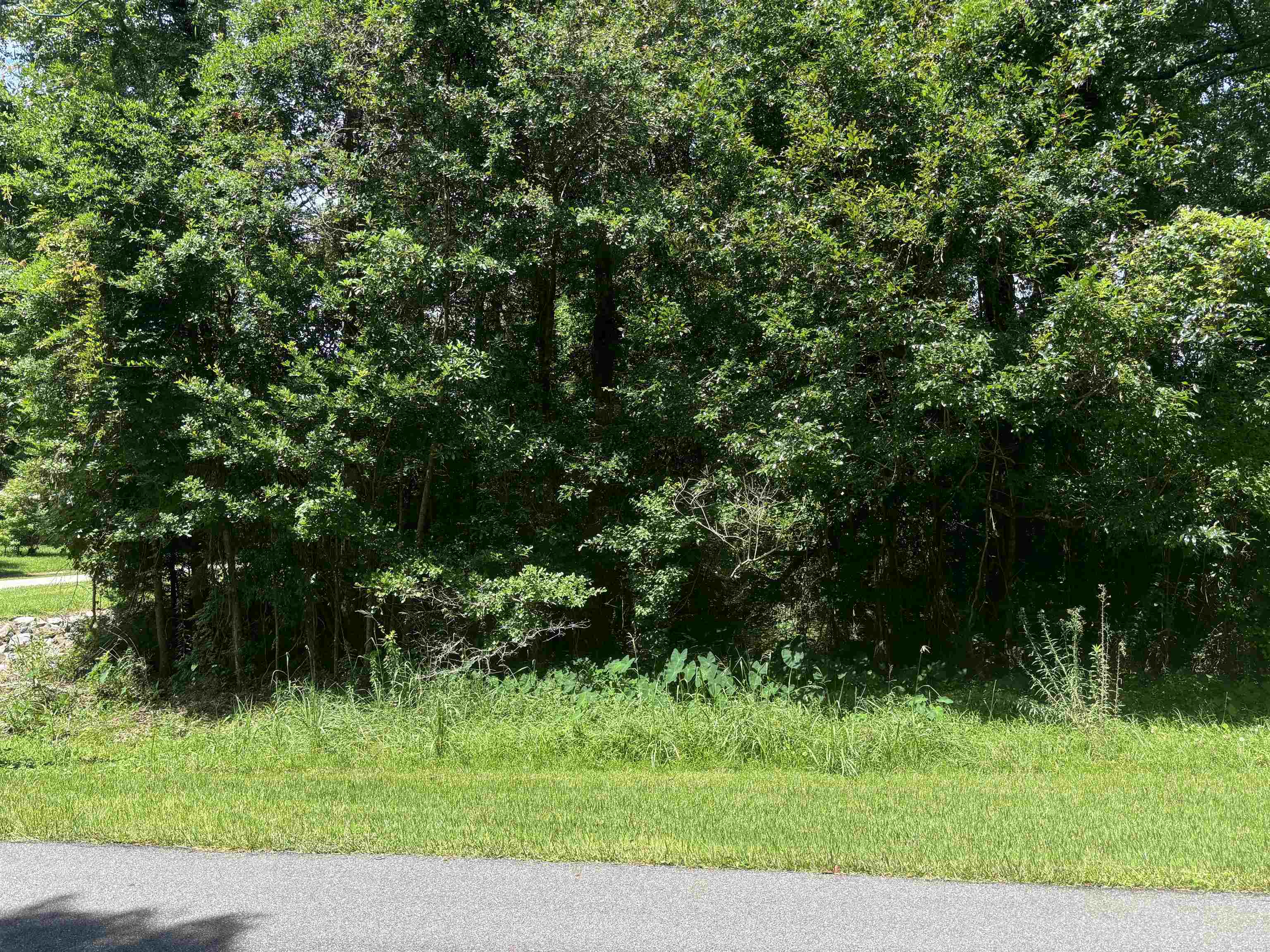 0 1st Avenue Silverhill, AL 36576 - Photo 1 of 5 View