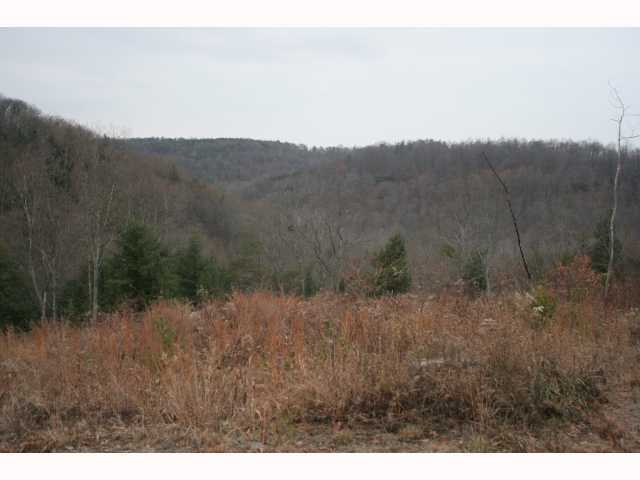 1099 Donaldson Road Rockbridge, OH 43149 - Photo 7 of 11 Gallery Image 7