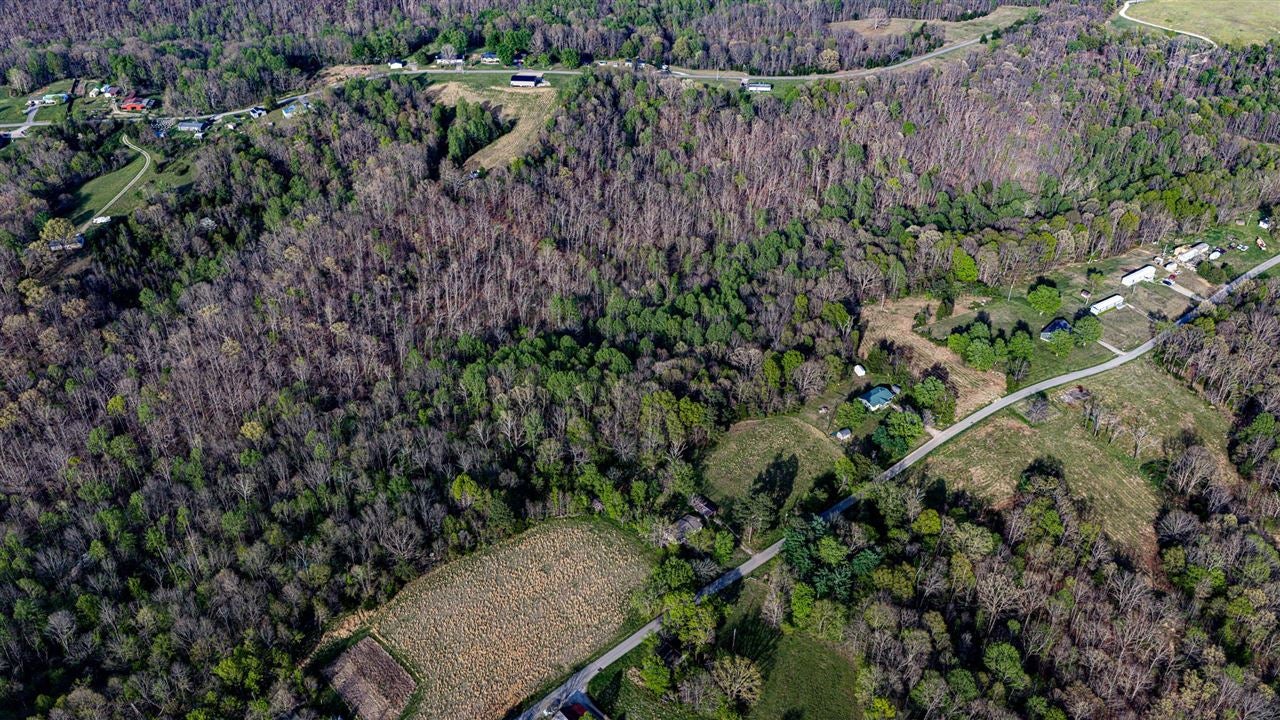 0 Cedar Grove Church Road Bee Spring, KY 42207 - Photo 4 of 9 Gallery Image 4