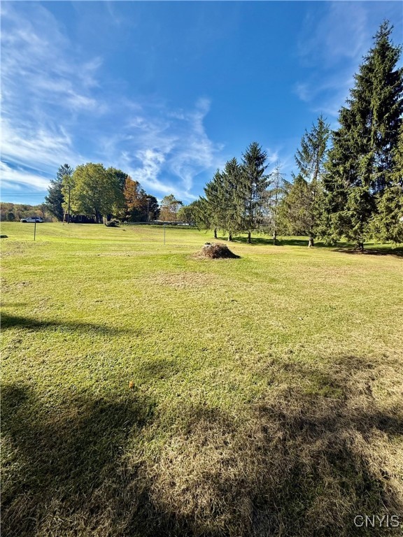 455 Hewitt Road Homer, NY 13077 - Photo 18 of 20