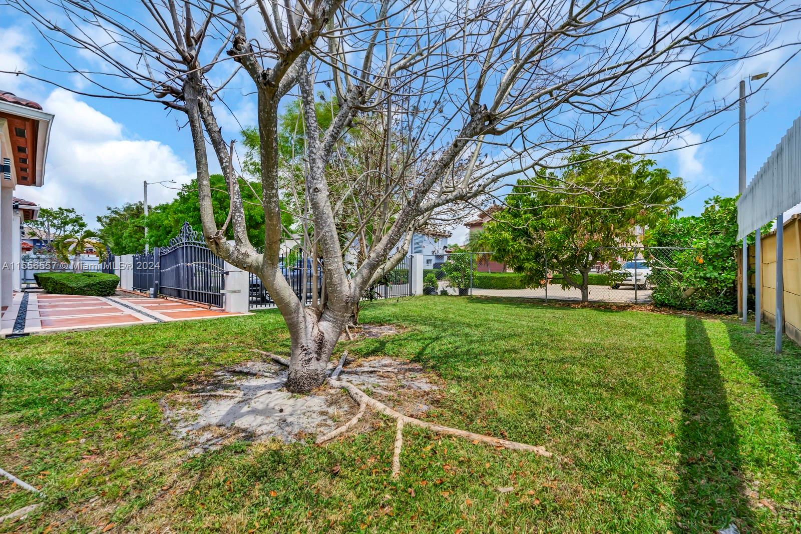 4014 Southwest 144th Place Miami, FL 33175 - Photo 50 of 50 a view of a backyard with table and chairs plants and trees