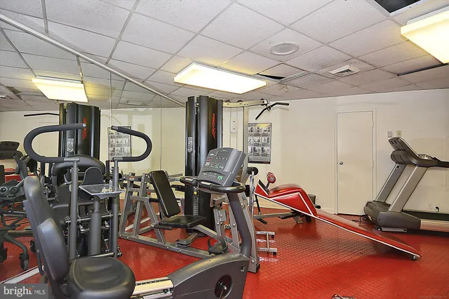 a view of a garden with pathway