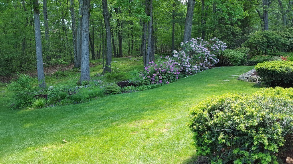 6 Loring Road Lexington, MA 02421 - Photo 21 of 23