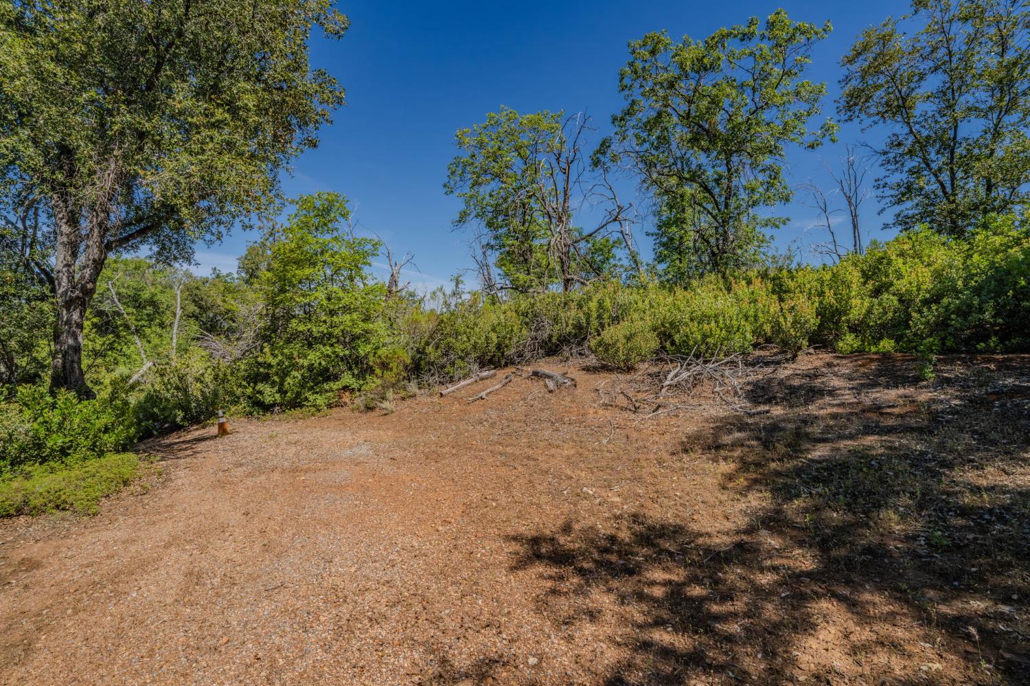 7256 Nikki Mountain Ranch Mountain Ranch, CA 95246 - Photo 14 of 27