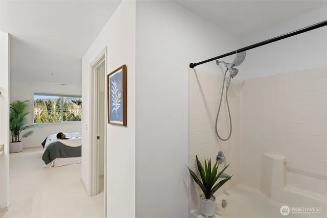 a view of a room that has a shower curtain and a window