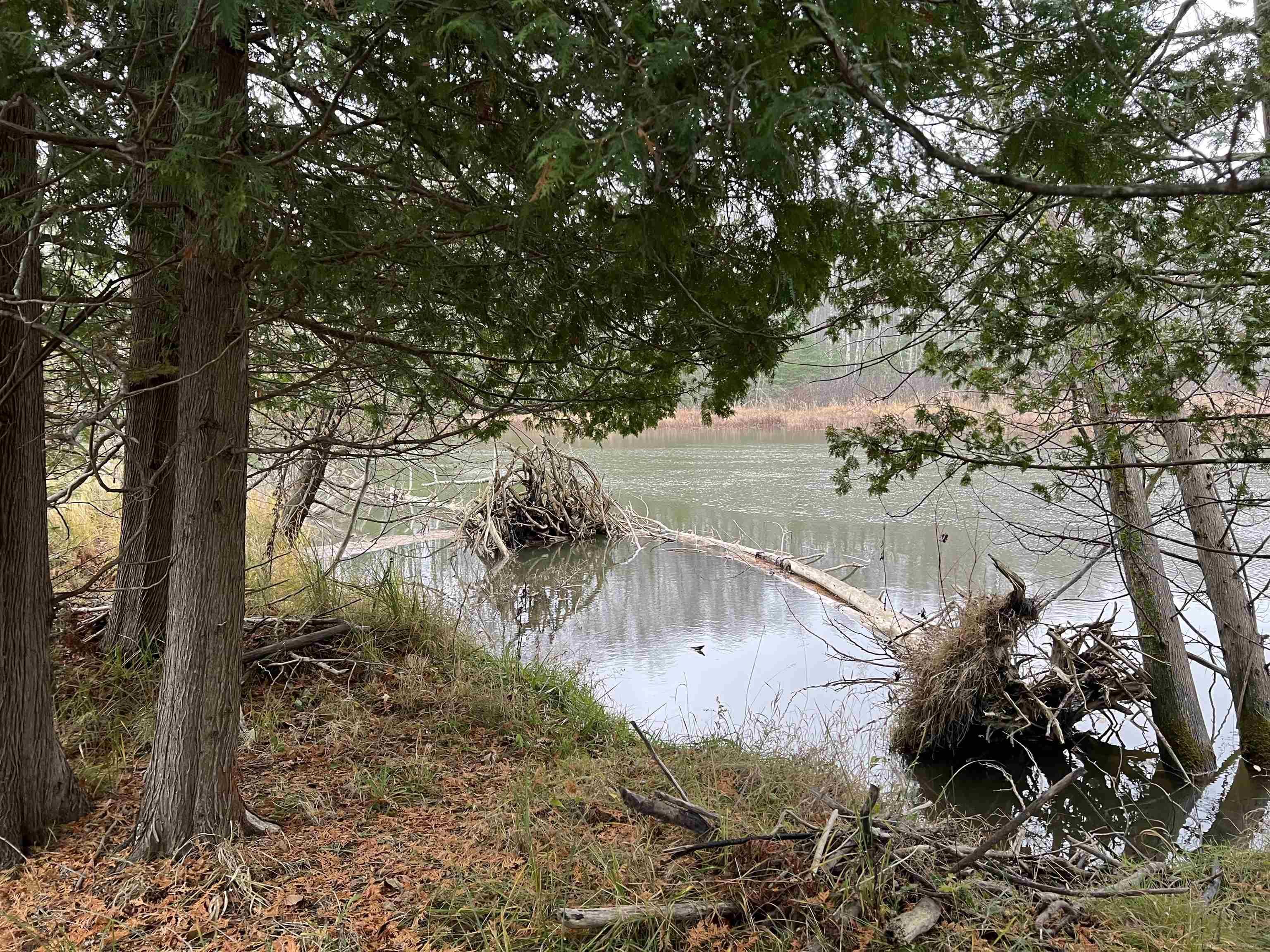 Long Rapids Road Alpena, MI 49707 - Photo 1 of 47 Gallery Image 1