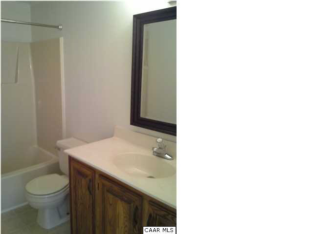 94 Carnation Road Ruckersville, VA 22968 - Photo 29 of 34 a bathroom with a sink and a toilet