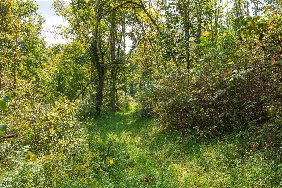 27339 Tabor Ridge Road, Unit 2 Caldwell, OH 43724 - Photo 12 of 50 Gallery Image 12