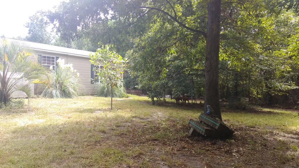 3963 Hillman Gay Road Dearing, GA 30808 - Photo 3 of 32 Gallery Image 3
