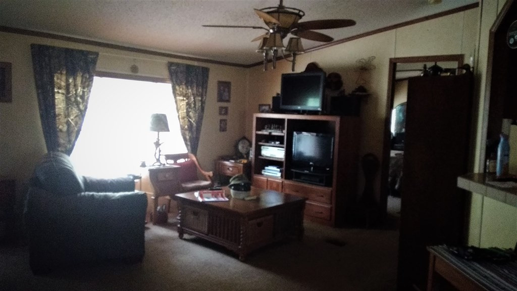 3963 Hillman Gay Road Dearing, GA 30808 - Photo 5 of 32 Gallery Image 5