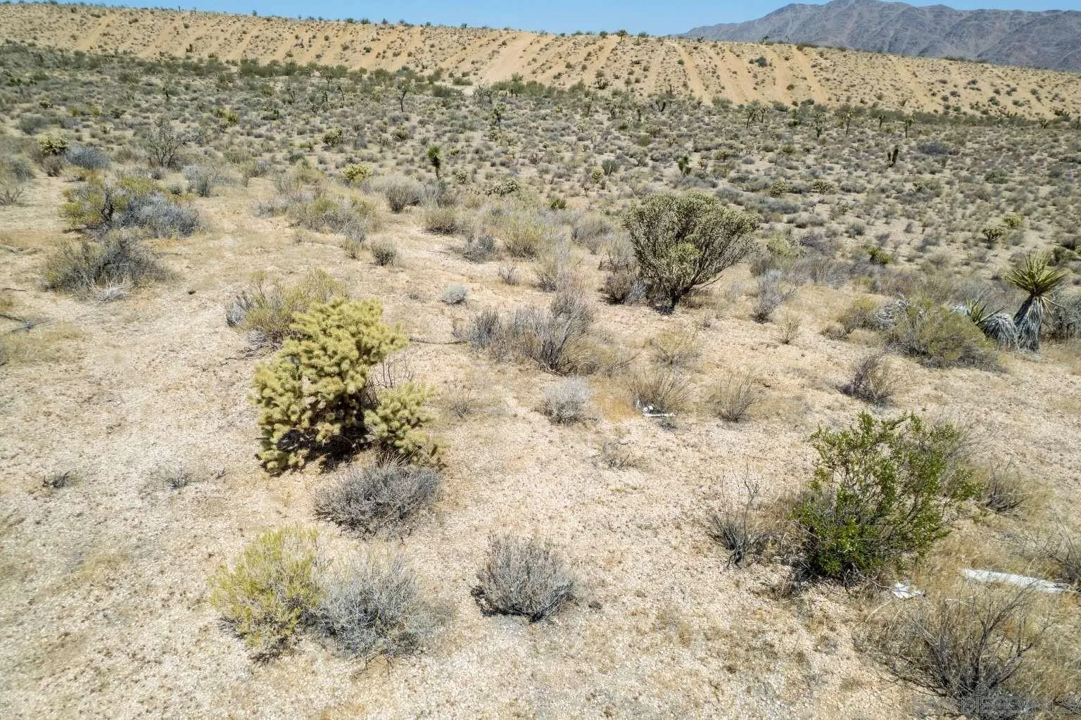 0 Joshua Road Lucerne Valley, CA 92356 - Photo 20 of 40 a view of a dry yard