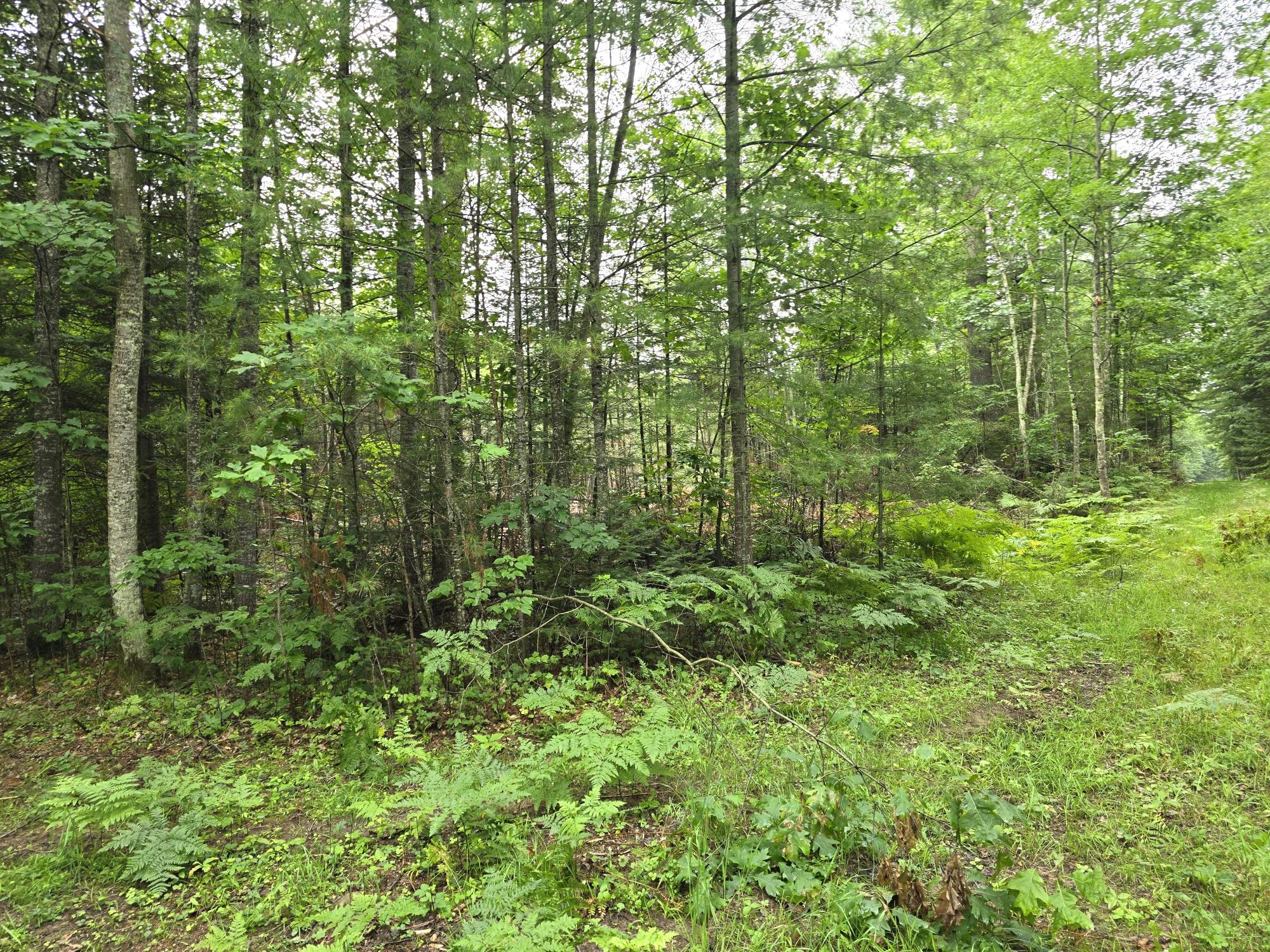 On Dam Road Eagle River, WI 54521 - Photo 12 of 86 Gallery Image 12