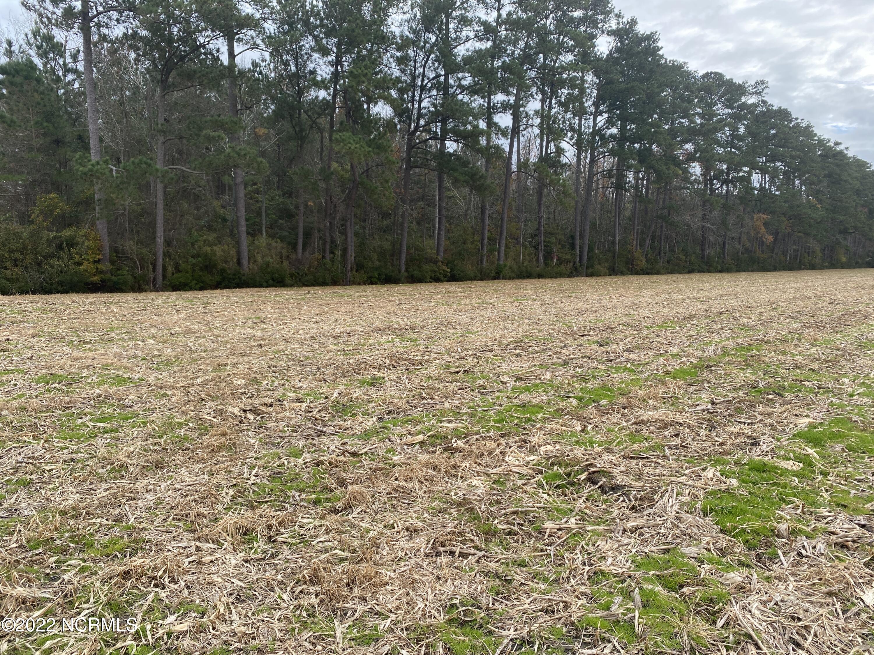 0 Murphy Farm Road Merritt, NC 28556 - Photo 3 of 4 00 Murphy Farm Road 2