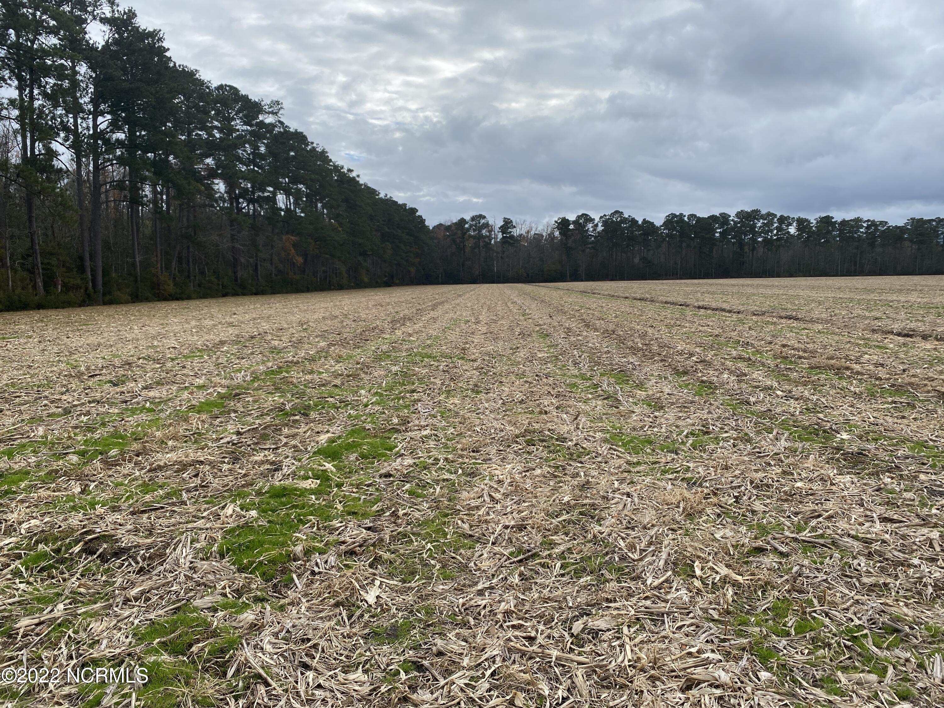 0 Murphy Farm Road Merritt, NC 28556 - Photo 4 of 4 00 Murphy Farm Road 3
