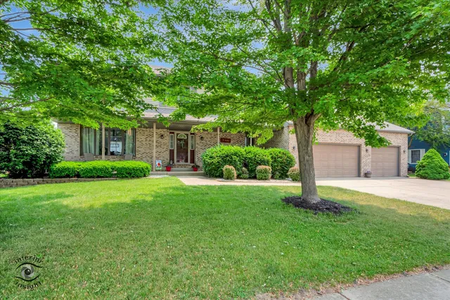 a backyard of a house with plants and large tree