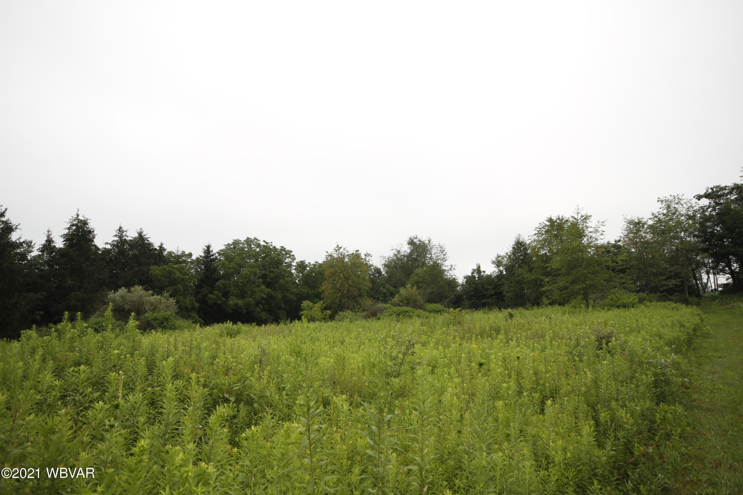 Mordan Hollow Road Unityville, PA 17774 - Photo 4 of 9 Gallery Image 4