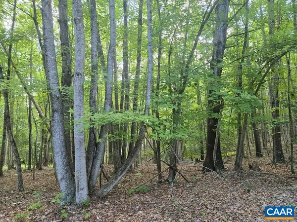 a view of outdoor space and garden