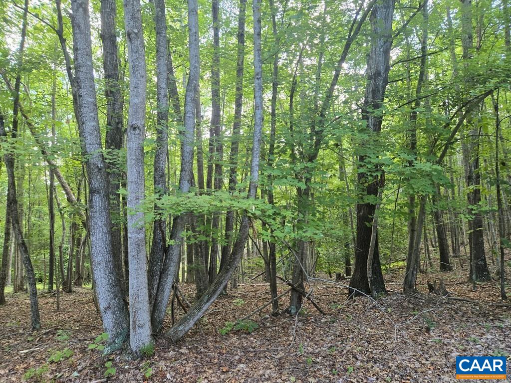 906 Equestrian Trail Road New Canton, VA 23123 - Photo 2 of 22 a view of outdoor space and garden