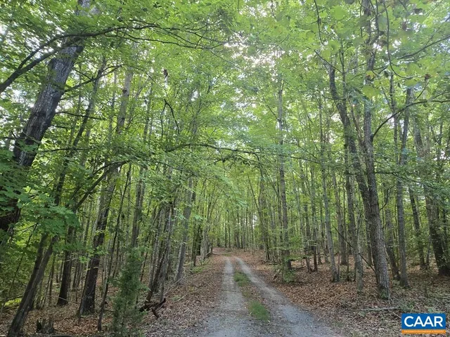 a view of outdoor space and trees