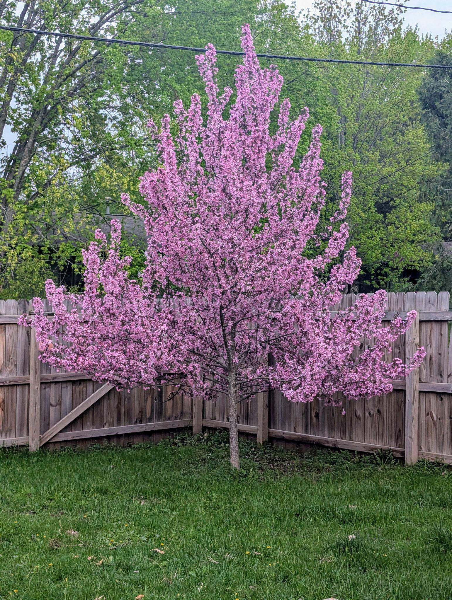 210 Court Avenue North Sandstone, MN 55072 - Photo 42 of 44