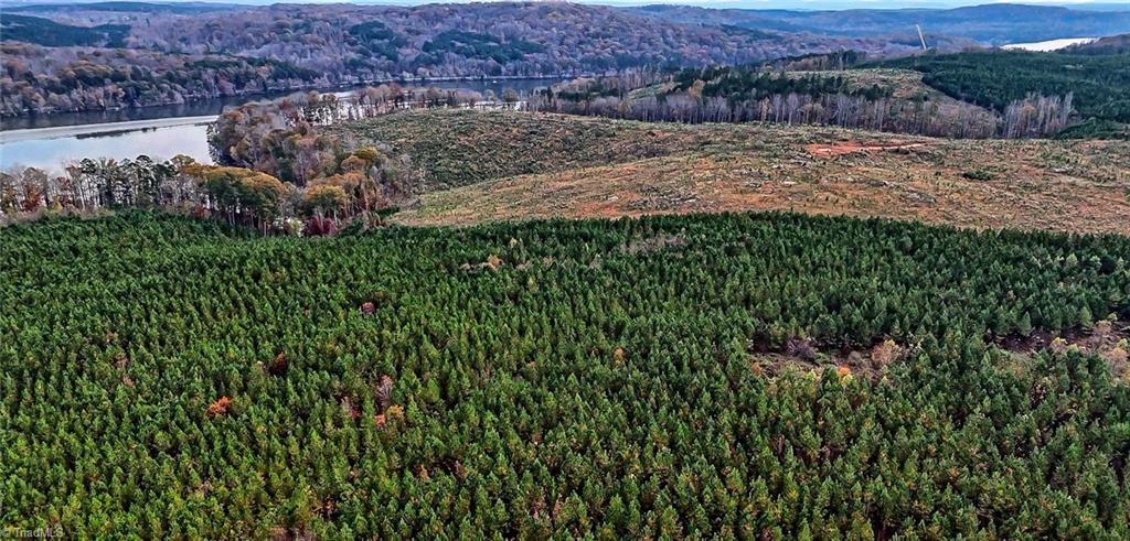 0 Stokes Ferry Road New London, NC 28127 - Photo 10 of 11