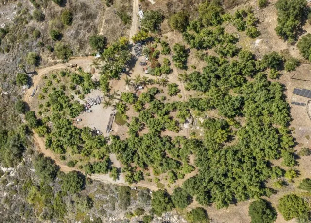 a view of a yard with a tree
