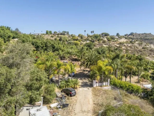 a view of a large yard with lots of trees