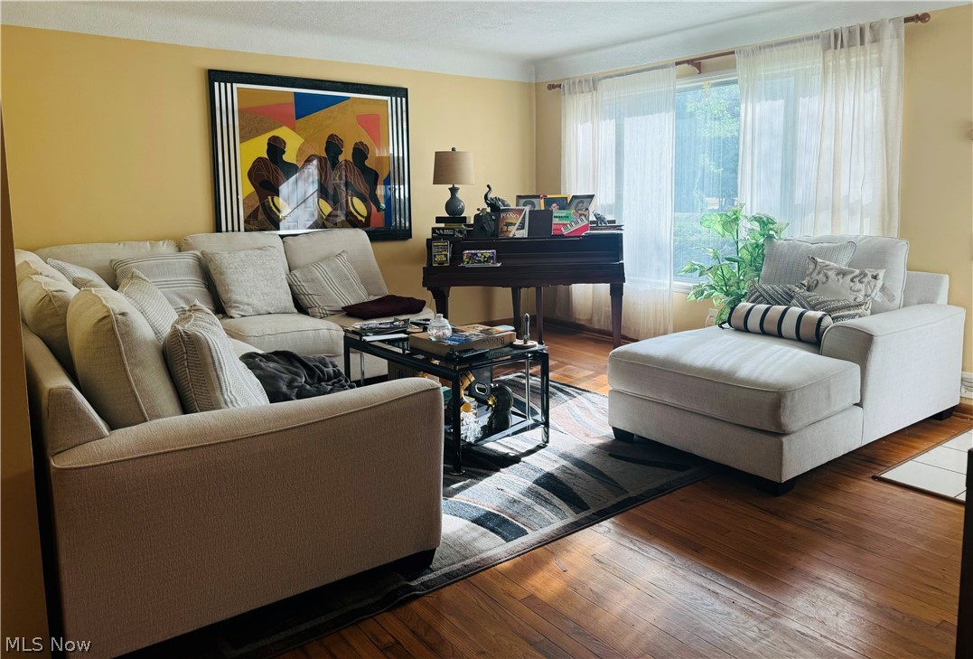 Living room featuring dark hardwood / wood-style floors