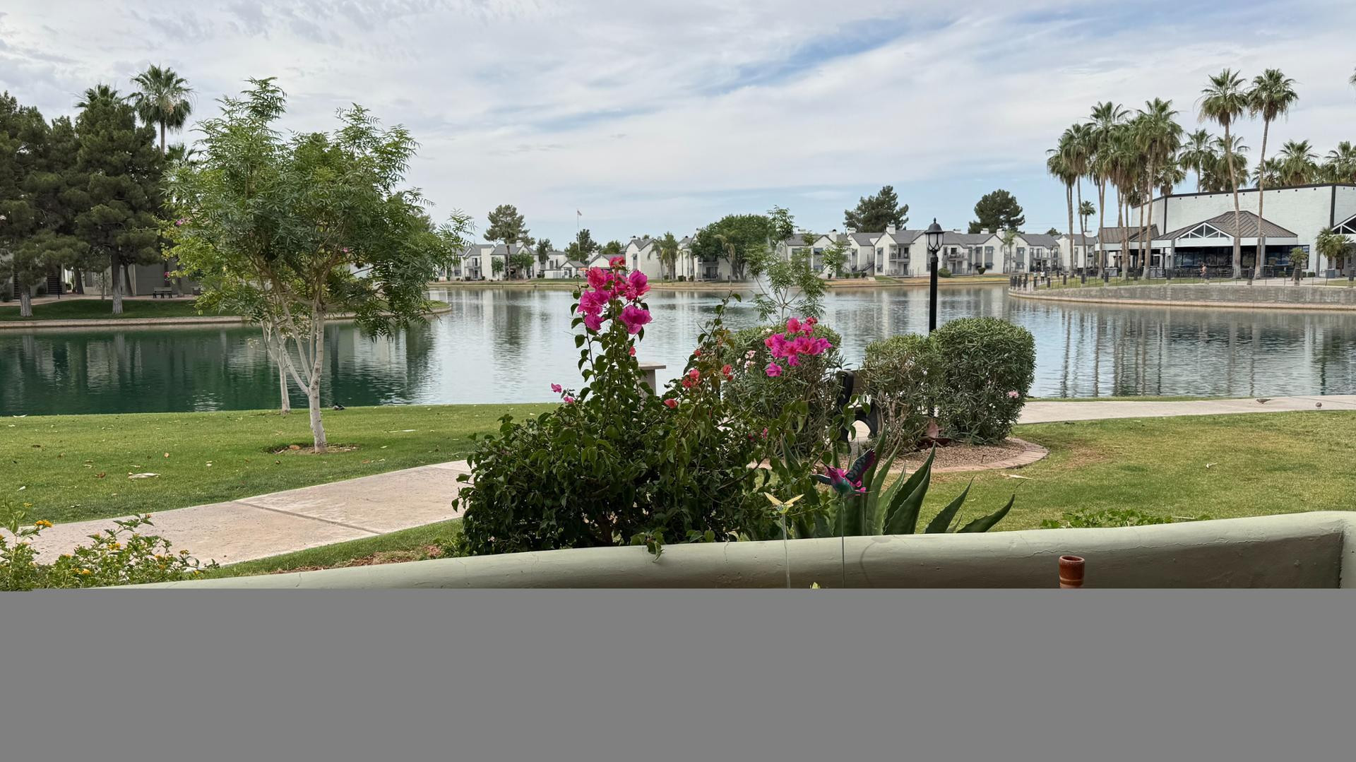 a view of a lake with a house in the background