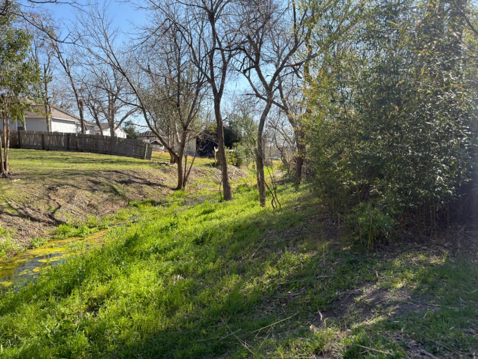 113 Royal Street Taylor, TX 76574 - Photo 5 of 5 View of creek behind property