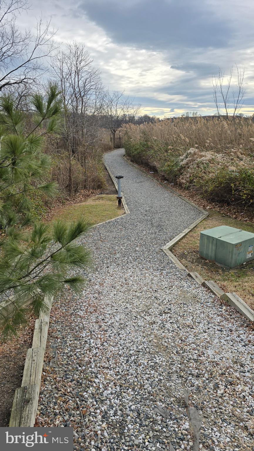 2065 Case Road Baltimore, MD 21222 - Photo 38 of 48 a view of a dry yard with wooden fence