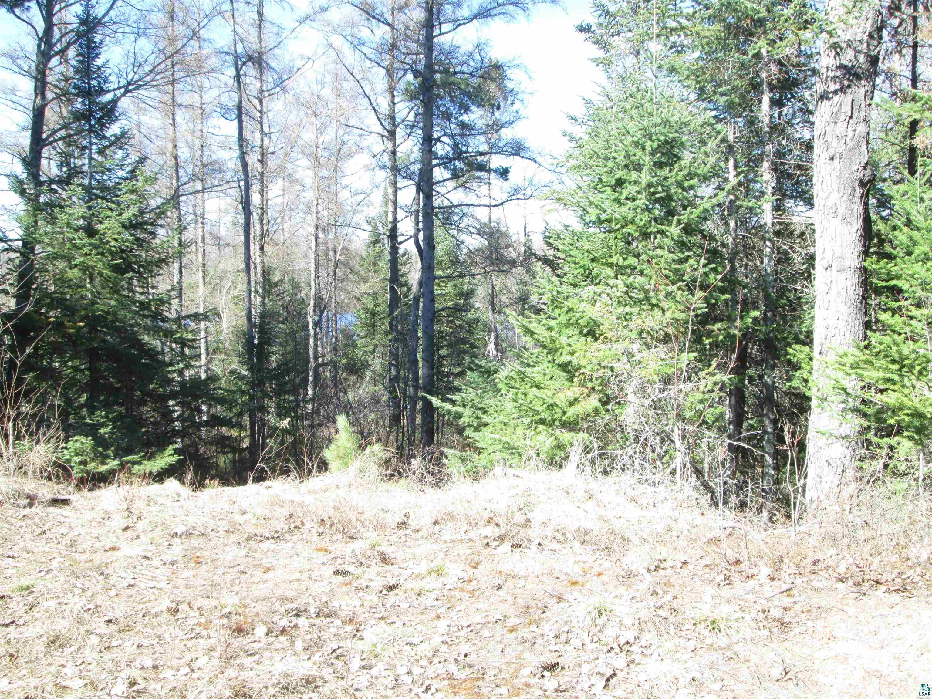 Lot 2-40 Acres County Road South Range, WI 54874 - Photo 24 of 39 Gallery Image 24
