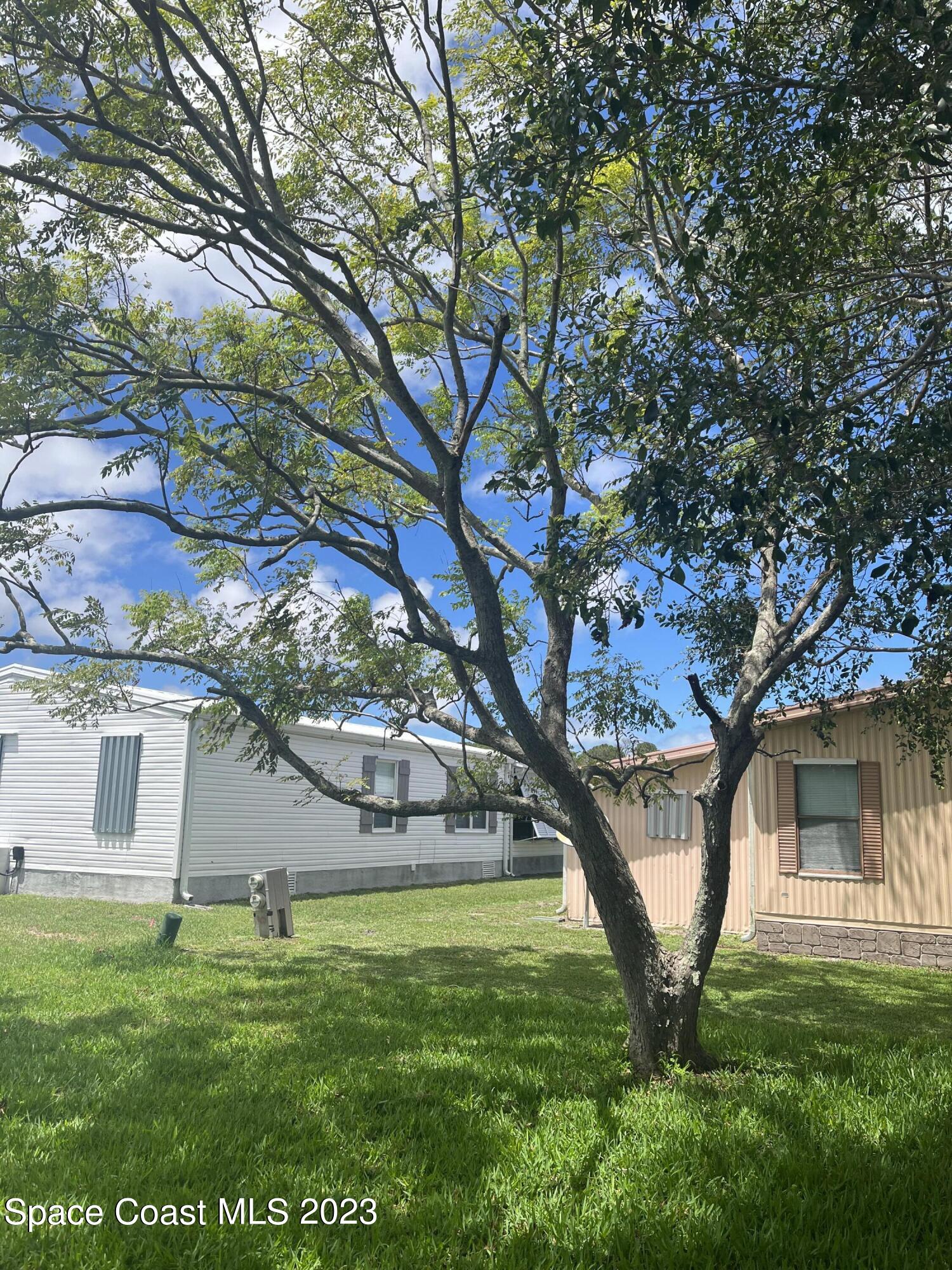 314 Loquat Drive Sebastian, FL 32976 - Photo 16 of 18 IMG-1456