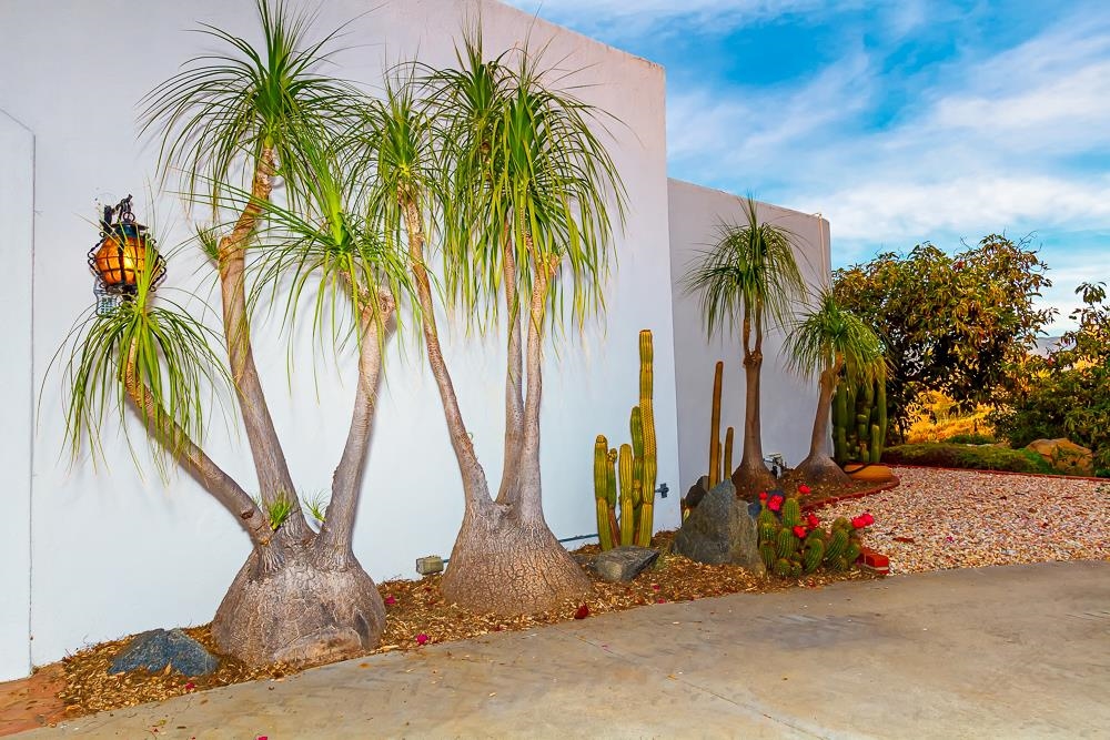28535 Gordon Hill Road Valley Center, CA 92082 - Photo 7 of 23 Gallery Image 7