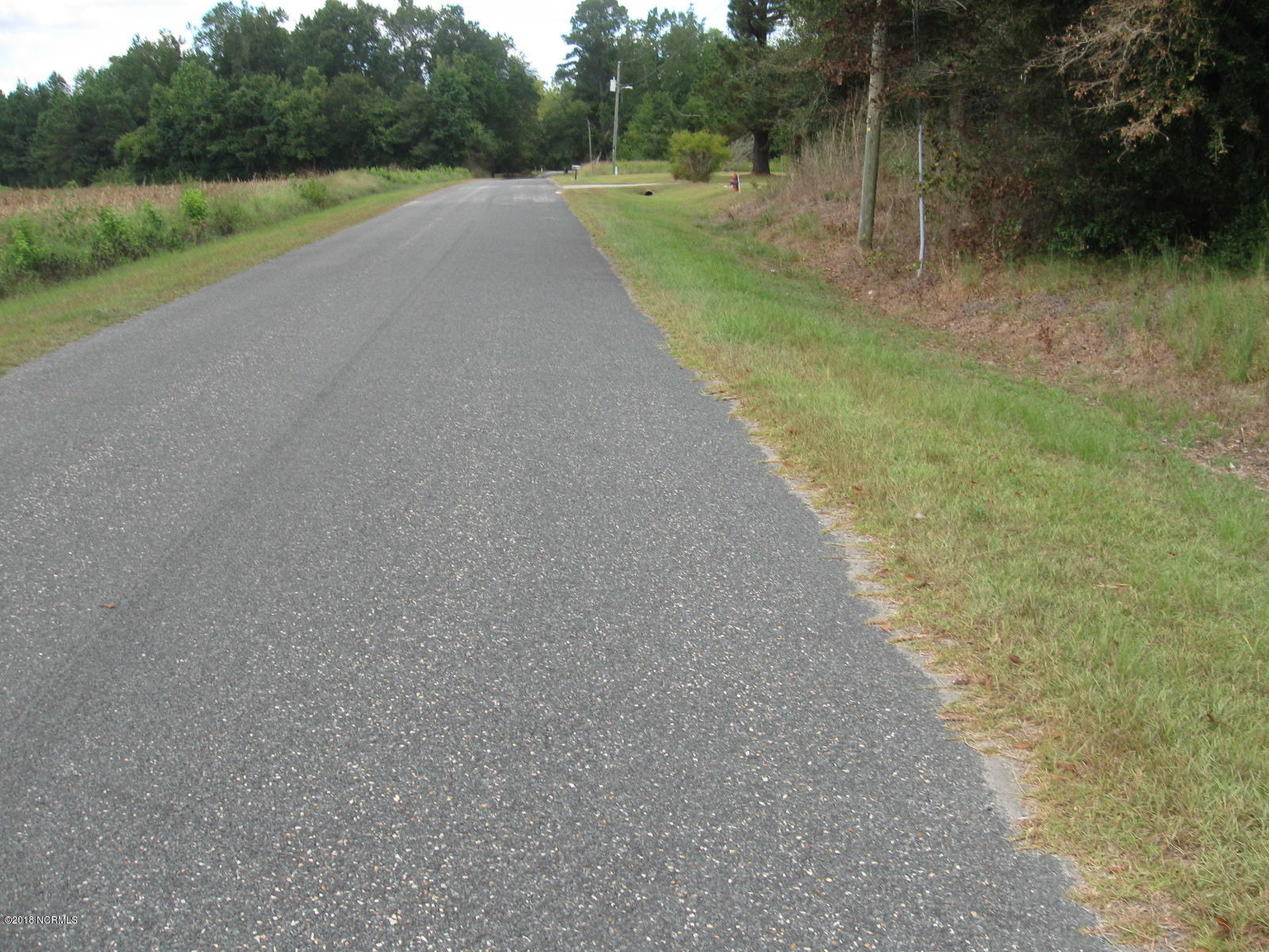 Lot 2 Peterson Road Delco, NC 28436 - Photo 2 of 9 IMG_3560