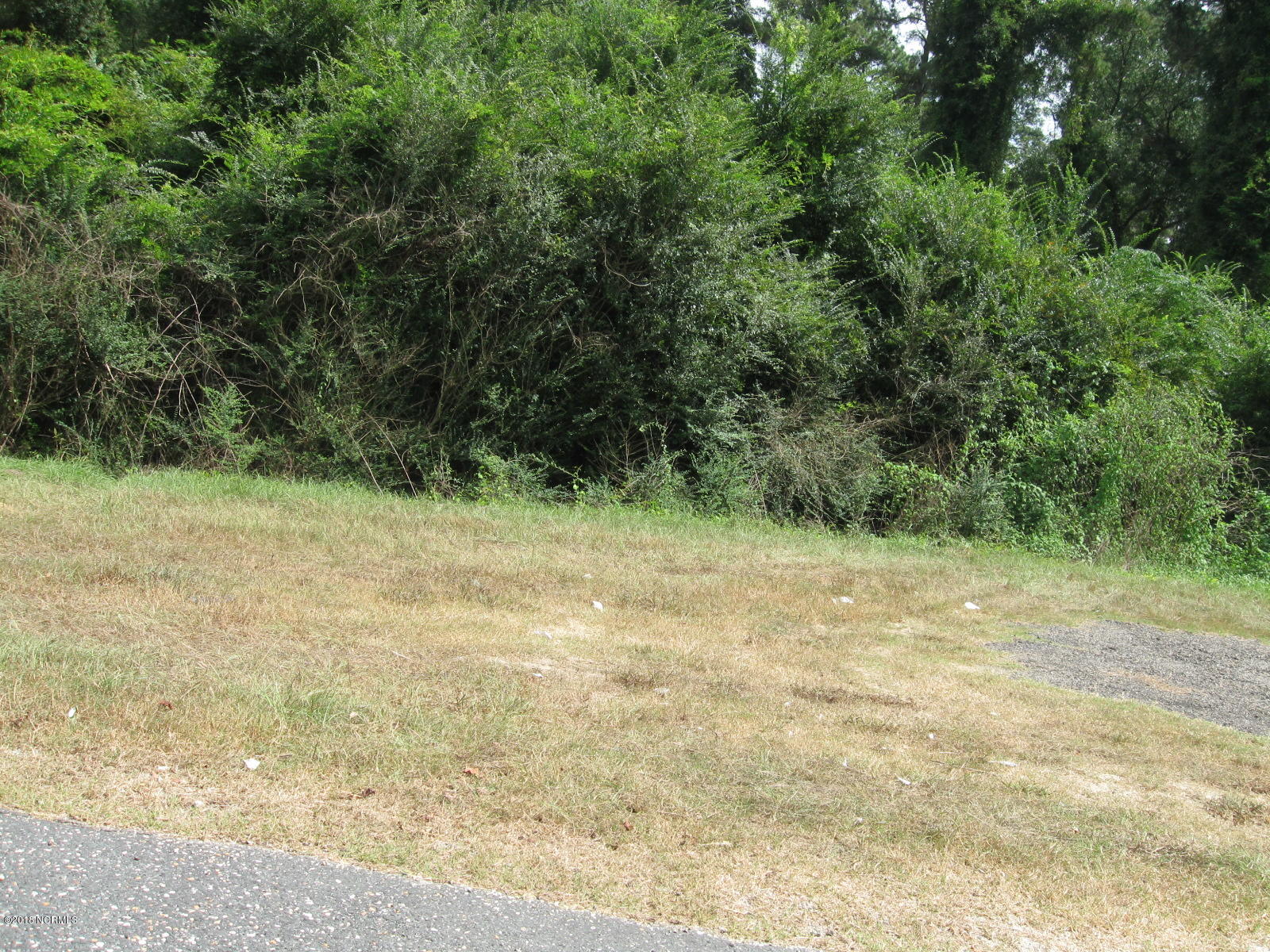 Lot 2 Peterson Road Delco, NC 28436 - Photo 3 of 9 IMG_3582