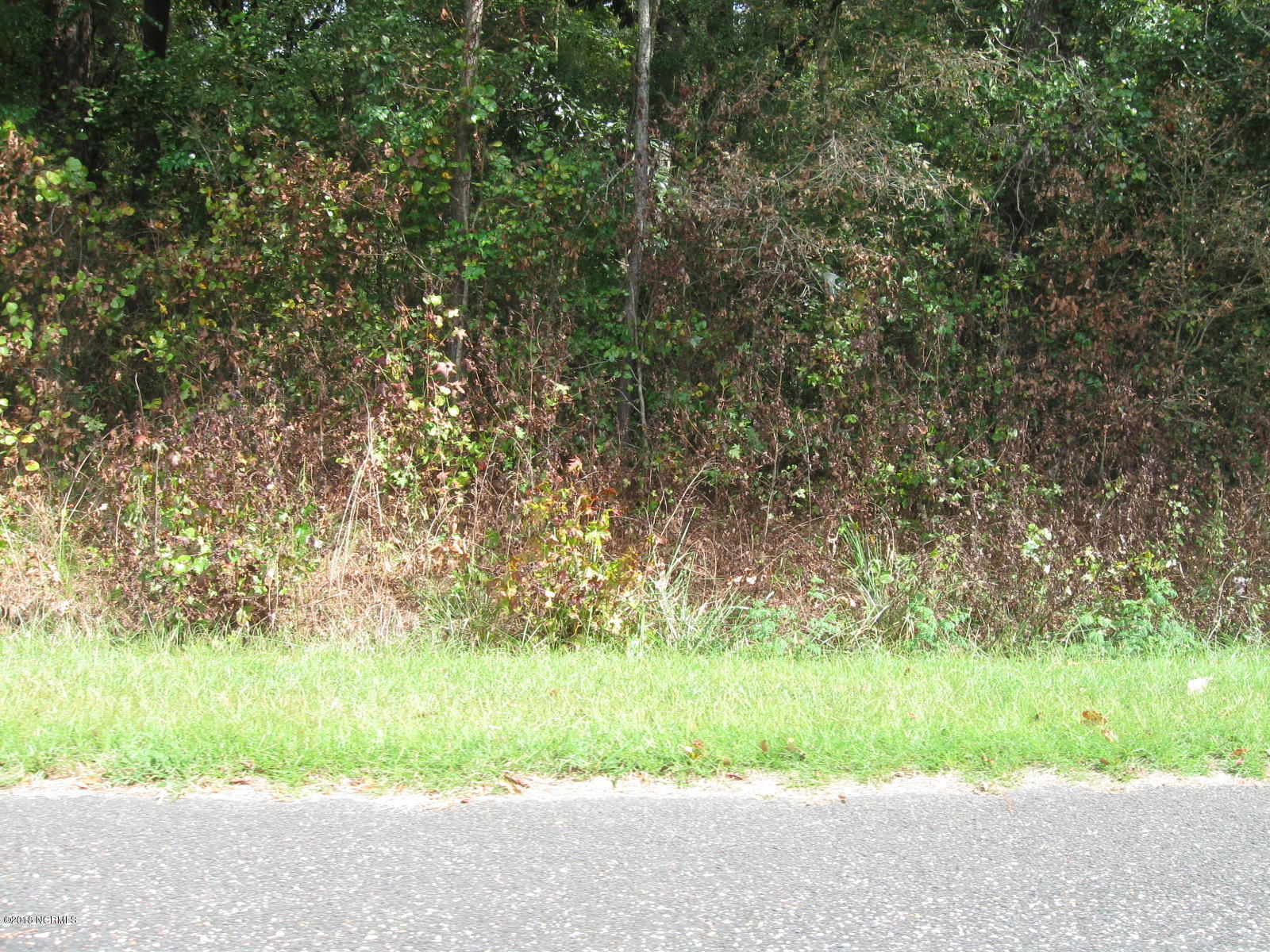 Lot 2 Peterson Road Delco, NC 28436 - Photo 4 of 9 IMG_3576