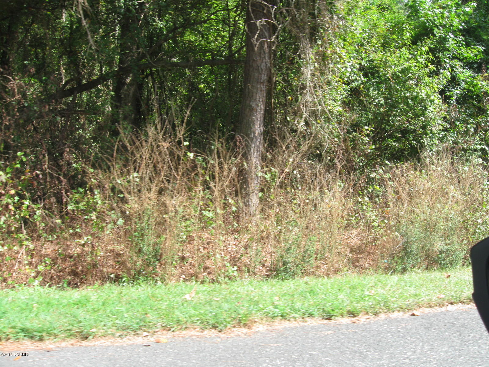 Lot 2 Peterson Road Delco, NC 28436 - Photo 5 of 9 IMG_3578