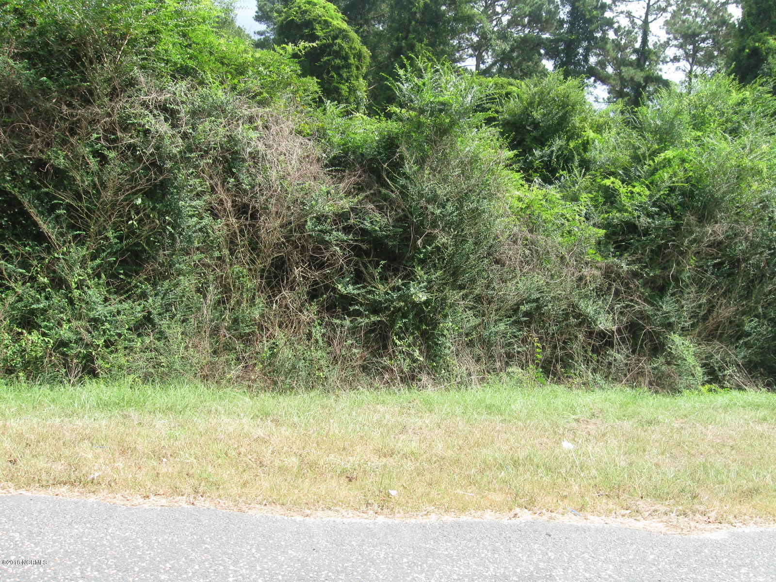 Lot 2 Peterson Road Delco, NC 28436 - Photo 6 of 9 IMG_3581