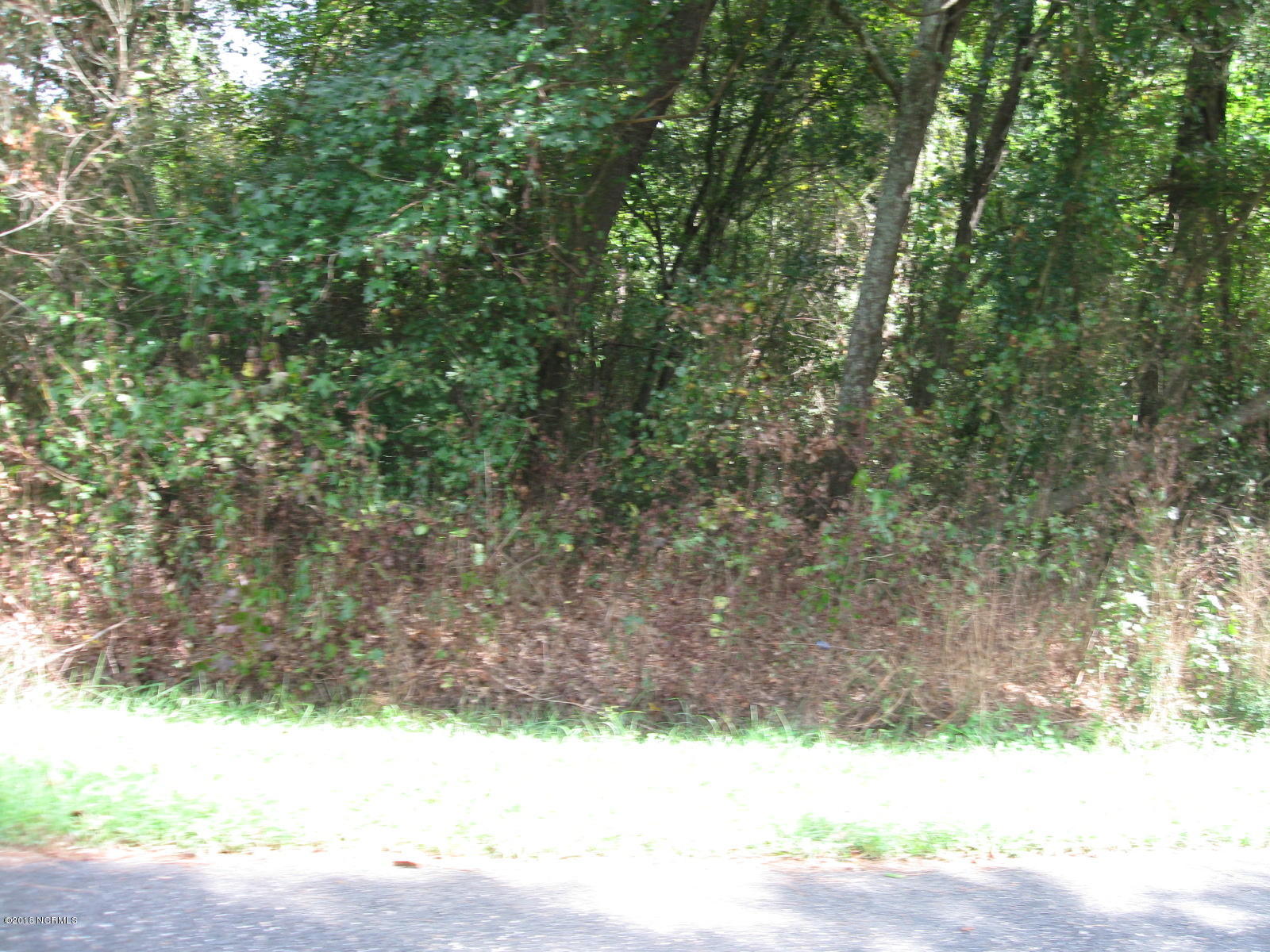 Lot 2 Peterson Road Delco, NC 28436 - Photo 9 of 9 IMG_3577