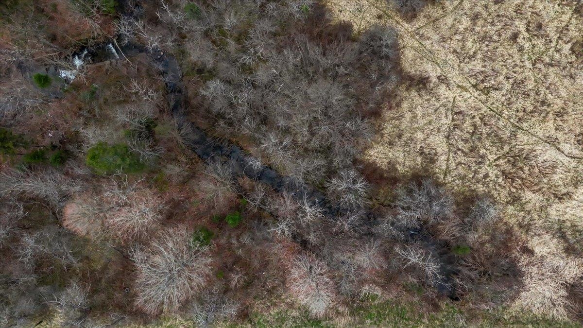 6847 Highway 122 Sheffield, VT 05866 - Photo 26 of 31