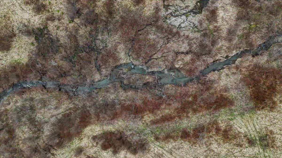 6847 Highway 122 Sheffield, VT 05866 - Photo 27 of 31