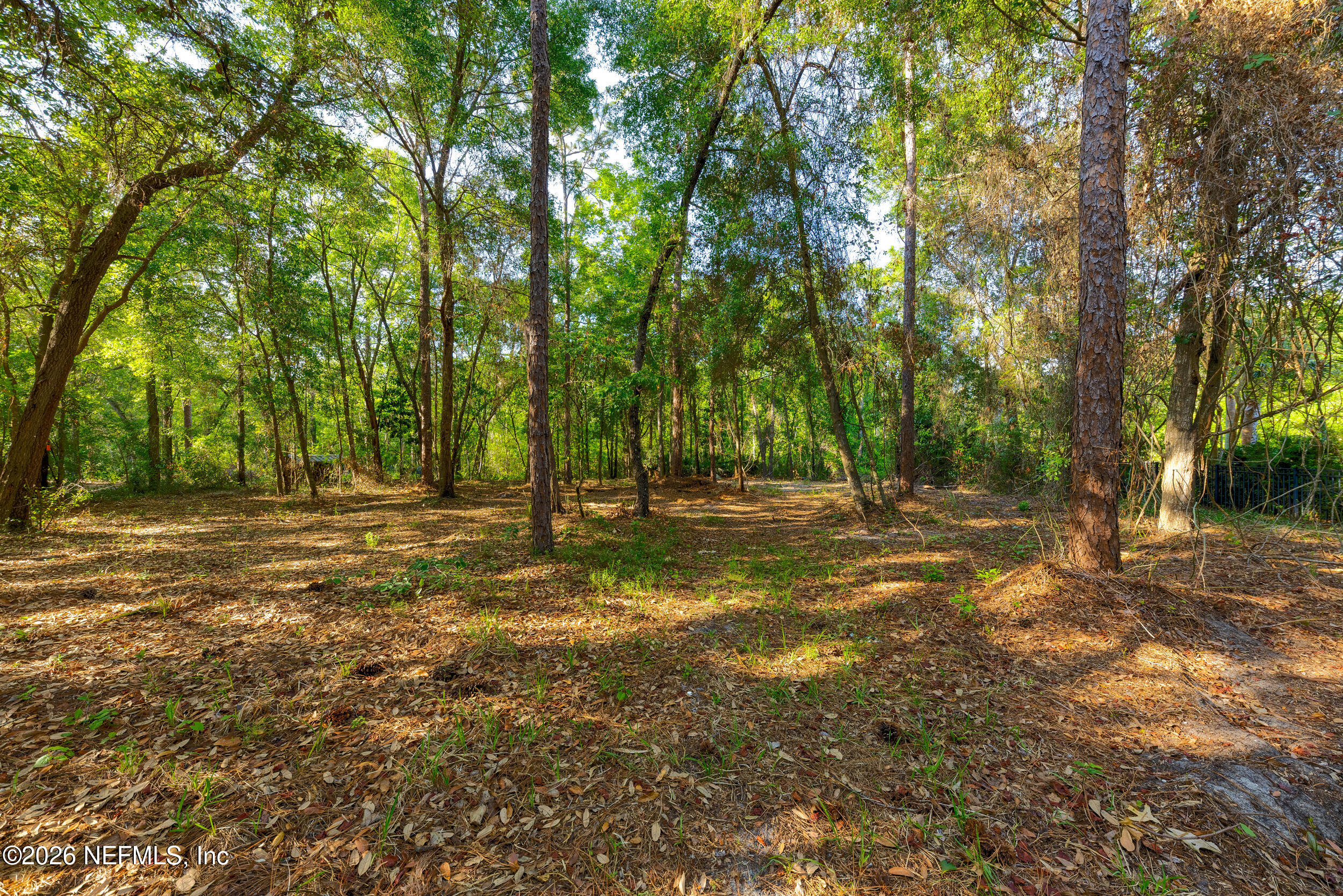 3075 Bishop Estates Road St. Johns, FL 32259 - Photo 5 of 39 Approx 1 Acre Buildable